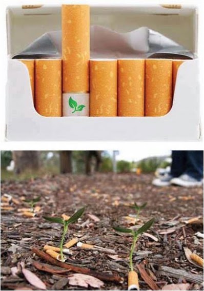 Tai cigaretės su suįrančiu filtru, kuriame yra augalo sėkla. Iš numestos nuorūkos išdygsta augalėlis